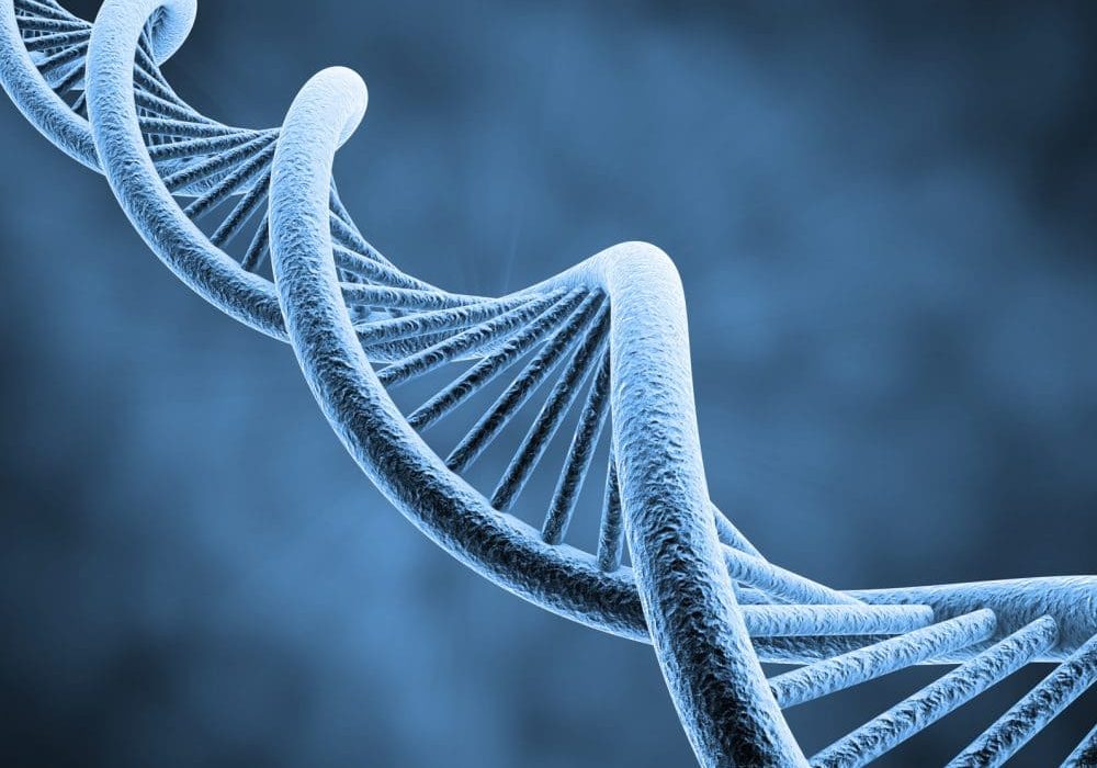 DNA DNA