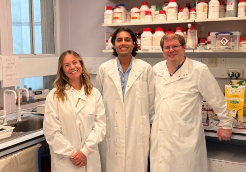 three researchers in the lab, all three wearing white lab coats